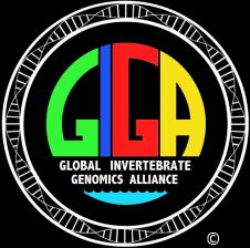 New GIGA grant to work in an invertebrate genomics laboratory