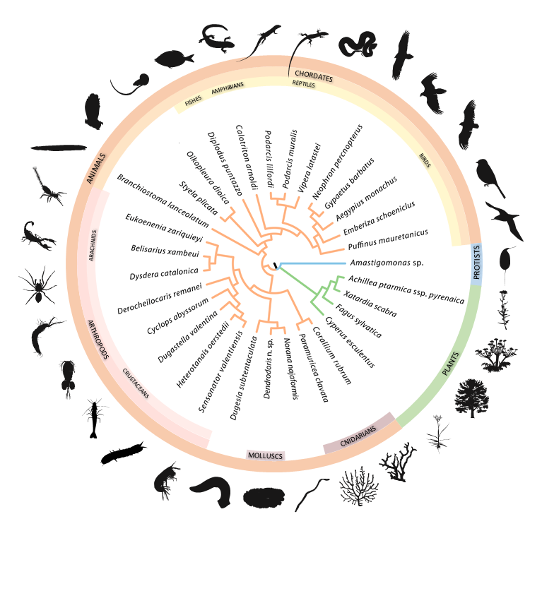 FIGURE BIOGENOMA 17-04-2021-0.25_simplificat