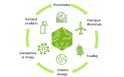 The Catalan Initiative for the Earth BioGenome Project (CBP) will have a direct impact on industry and the bioeconomy