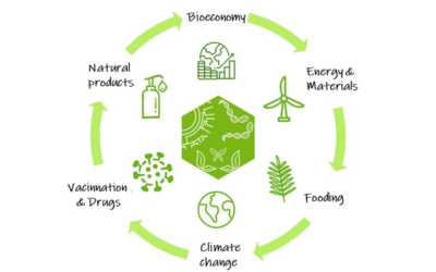 La Iniciativa Catalana per a l’Earth BioGenome Project (CBP) tindrà un impacte directe a la indústria i la bioeconomia