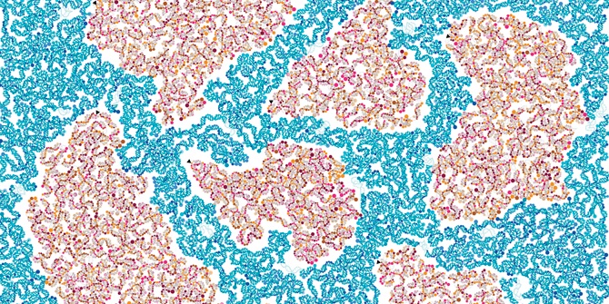 El catàleg complet de seqüències d’ADN de la Terra, més a prop de ser una realitat