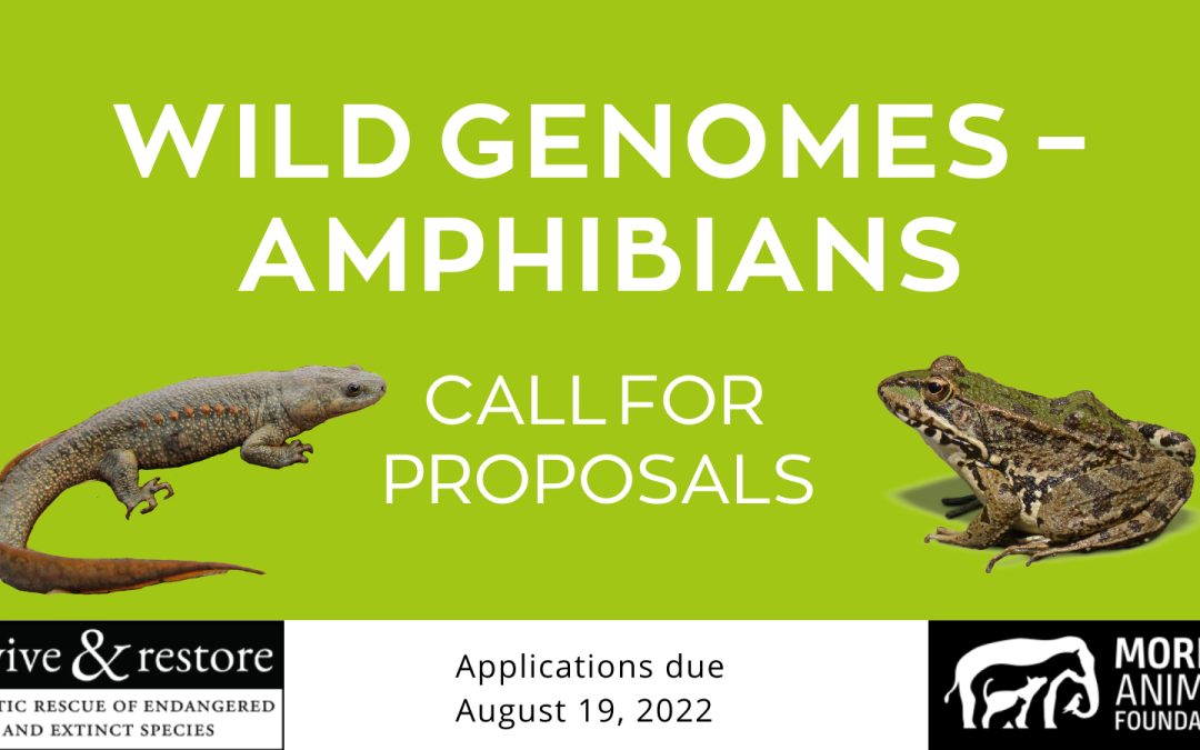 Wild Genomes: Convocatòria per a seqüenciar genomes d’amfibis