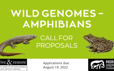 Wild Genomes (Amphibians)