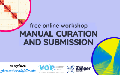 Manual curation and submission workshop