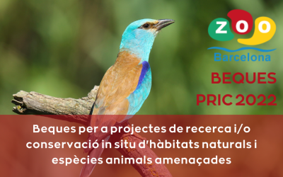 Beques PRIC 2022 Fundació Barcelona Zoo