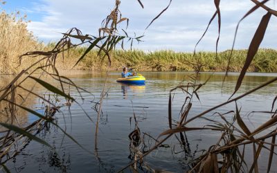 Diversitat i connectivitat de les comunitats aquàtiques del delta del Llobregat