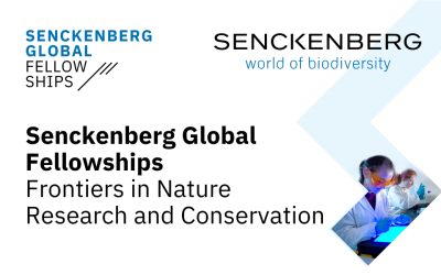 Senckenberg Global Fellowships