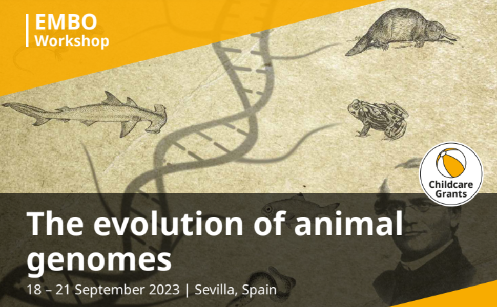 EMBO Workshop: The evolution of animal genomes