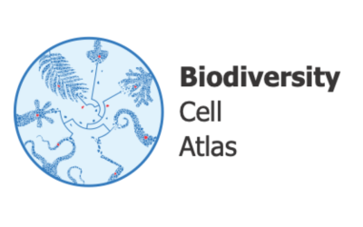 Biodiversity Cell Atlas Meeting