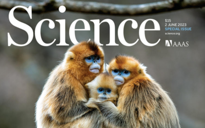 L’ADN dels primats revela aplicacions per a la salut humana