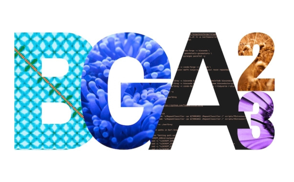 Biodiversity Genomics Academia