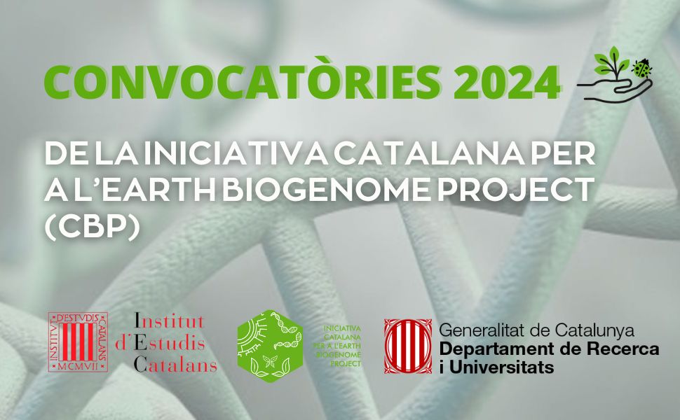 Tercera convocatòria d’ajuts per a la recerca en biogenoma, març 2024